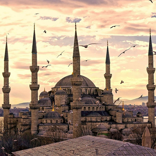 iasstanbulglbtotal.jpg